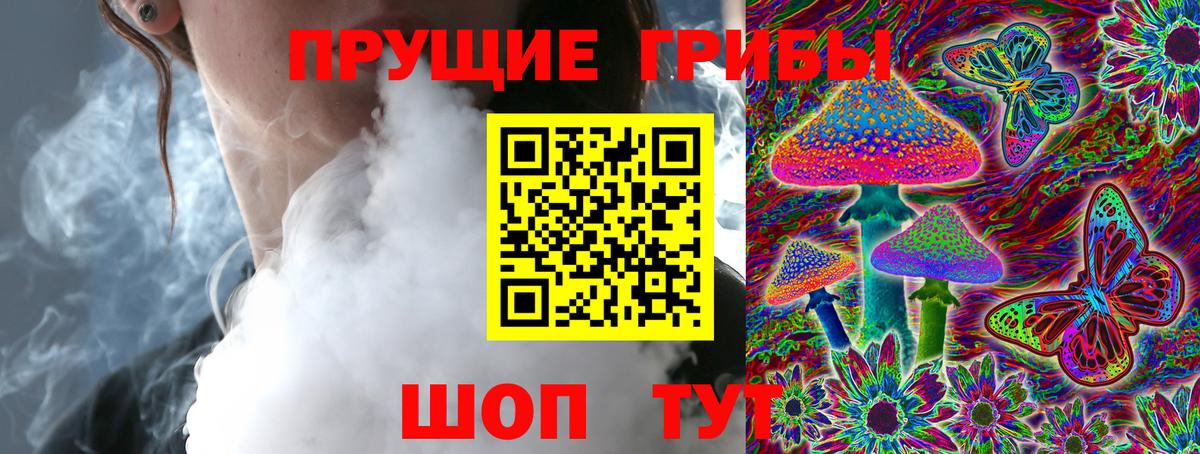 Псилоцибиновые грибы Cubensis Тимашёвск