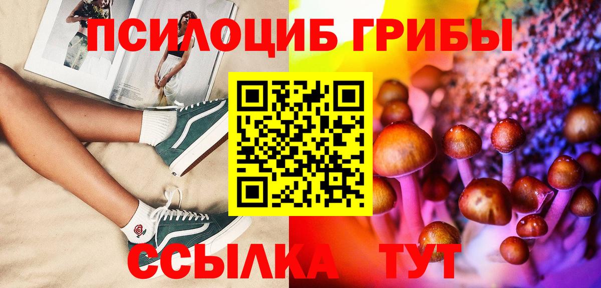 Галлюциногенные грибы GOLDEN TEACHER  Вход с VPN  Тимашёвск 
